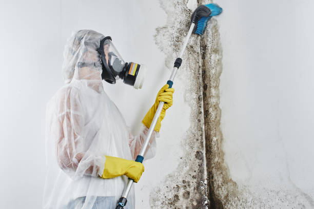 Water Damage Restoration in Eagle River, WI