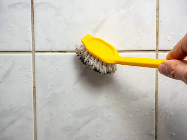 Best Mold Remediation  in Eagle River, WI